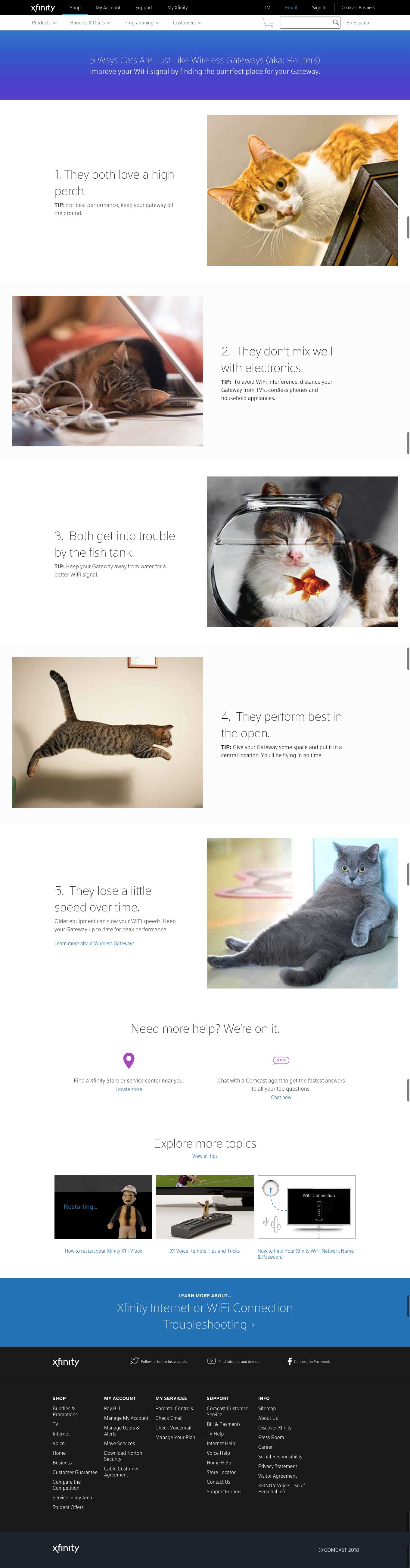 5 ways cats are just like wireless gateways